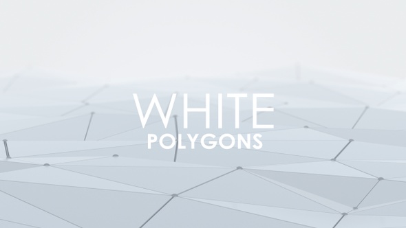 White 3D Polygons