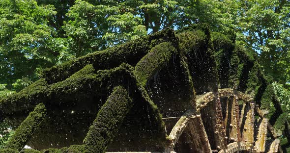 L'Isle-sur-la-Sorgue, Provence-Alpes-Côte d'Azur region, Vaucluse department, France. alt