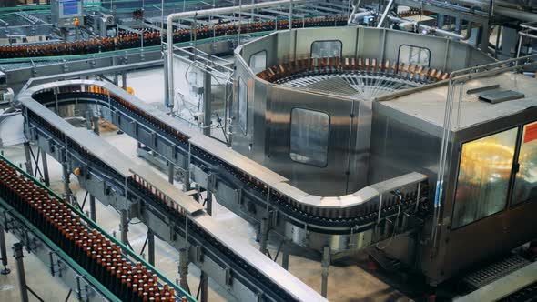 Beer Bottles Are Being Transported Along Automated Conveyor Belt alt