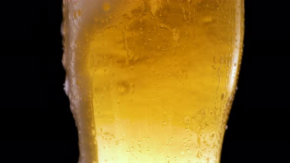 Cold Light Beer in a Beer Mug on Black Background with Water Droplets and Foam alt