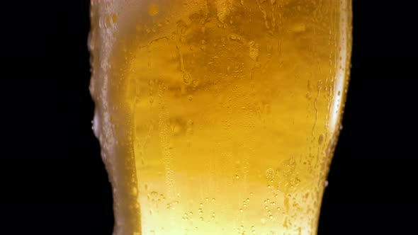 Cold Light Beer in a Beer Mug on Black Background with Water Droplets and Foam