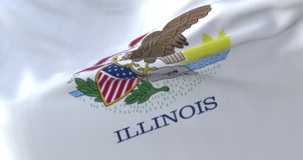 Flag of American Illinois State alt