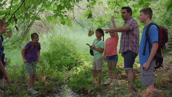 Kids at summer camp look at small creek