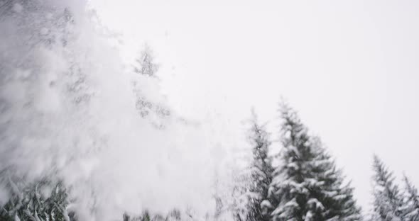 Amazing Details in a Hard Winter Day with Full of alt