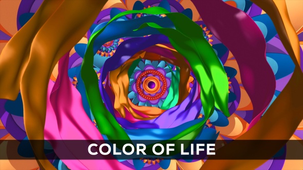 Color Of Life