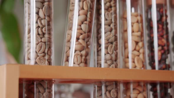 Coffee Types In Glass Tubes alt