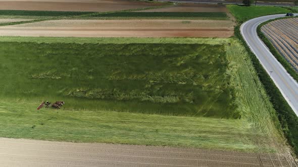 Aerial View of Amish Farm Worker Harvesting Spring Crop With Team of 2 Horses alt
