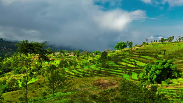 Time-lapse of a terraced, cultivated hillside in Nepal alt