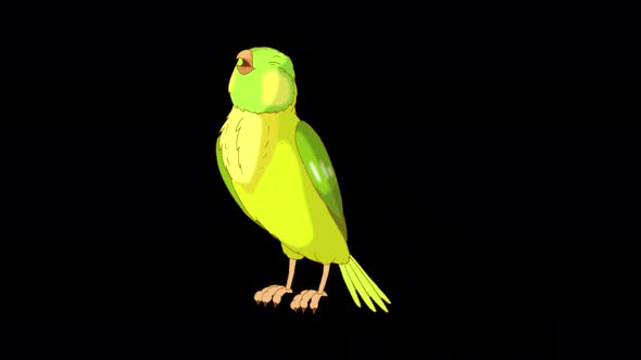 Green canary sings alpha matte 4K