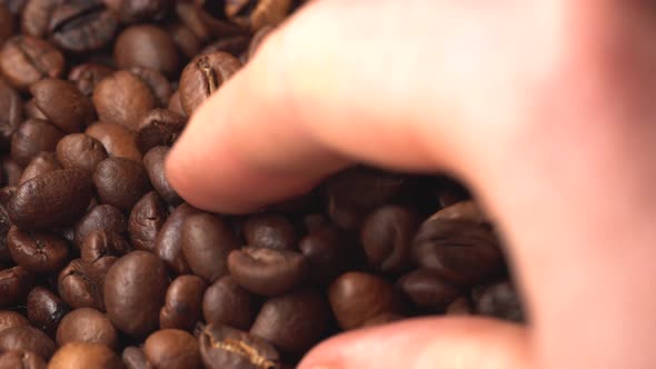 Aromatic Coffee Grains Lie Before Making Coffee, A Man Takes Coffee Grains