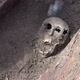 Exhumation Of Human Remains - VideoHive Item for Sale