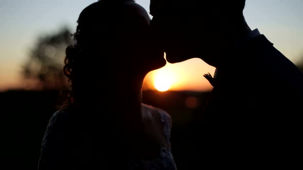 The Love of Two Lovers to the Sunset the End of Love Story alt