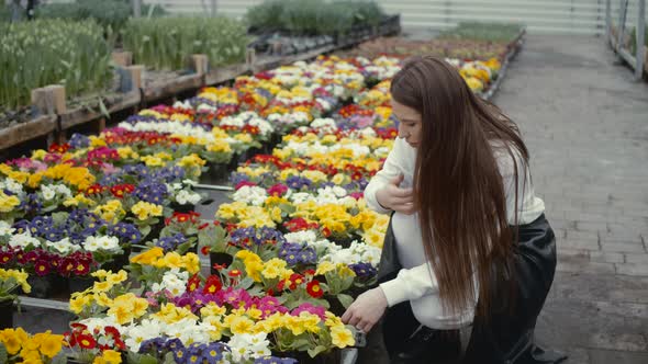 Happy Female Nursery Worker Trimming Plants in Greenhouse alt