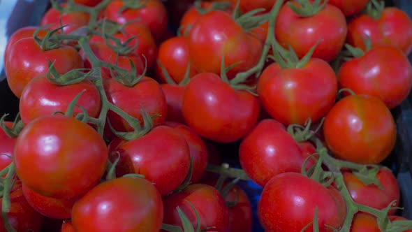 Tomates cherry en mercado / slowmotion / Verduras