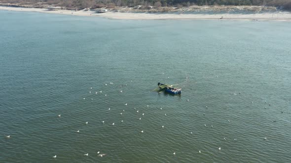AERIAL: Flock of Gulls Surrounds Fishermans in Blue Colour Boat Casting Nets Near Baltic Sea Shore alt
