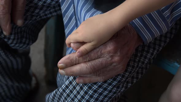 The Hand of a Small Child Gently Touches the Hand of an Old Man alt