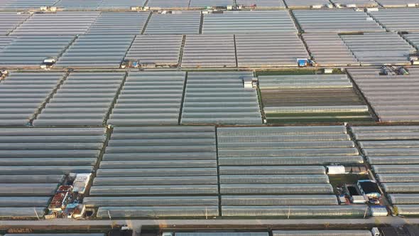 Countryside and vegetable greenhouses in the sunset alt