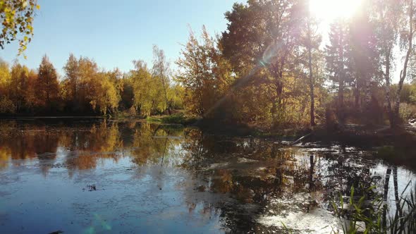 Russian Autumn Landscape with Birches and Pond