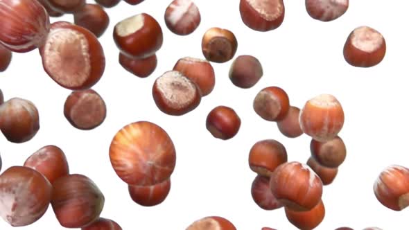 Close-up of Unpeeled Hazelnuts Falling Down on a White Background alt