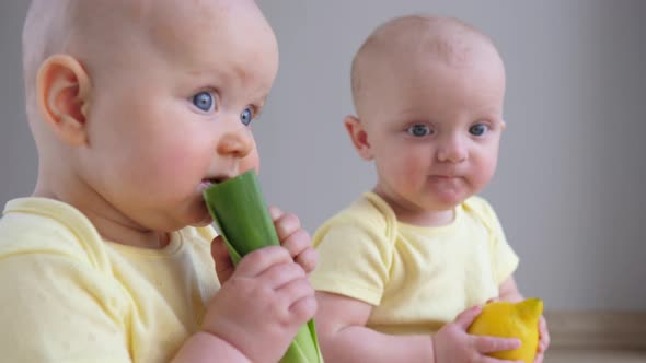 Two Adorable Twin Babies Eating Fresh Fruits And Vegetables alt