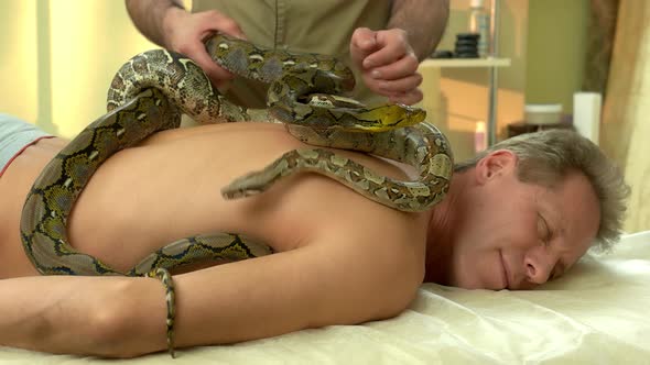 Man Receiving Exotic Snake Massage alt
