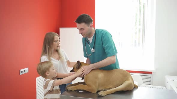 Family with Dog Came To Vet for Annual Examining. alt