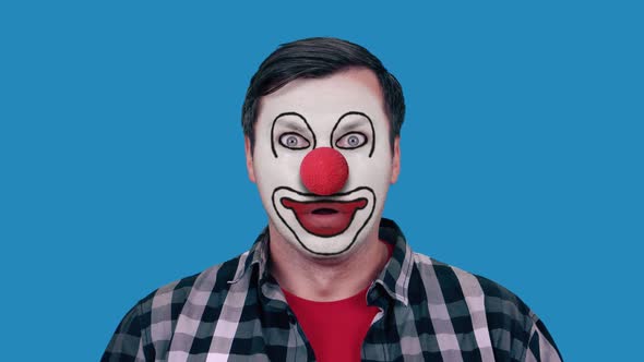 Funny male clown looks at the camera alt