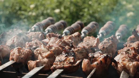 Roasted Meat on an Open Fire Shish Kebab Meat Closeup