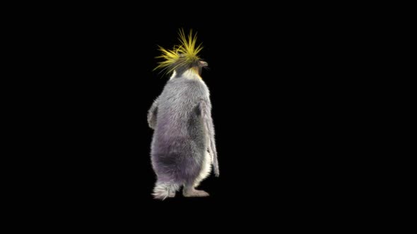 80 Penguin Dancing HD alt