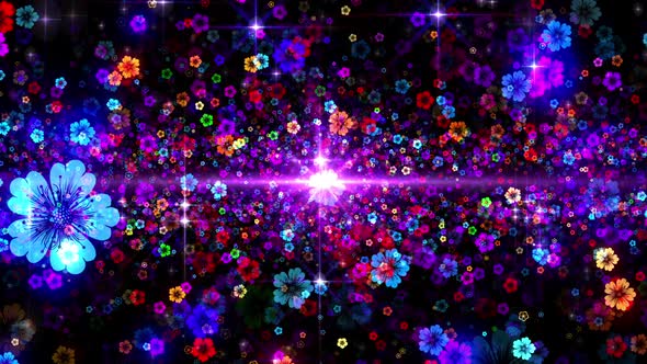 Colorful Flowers alt