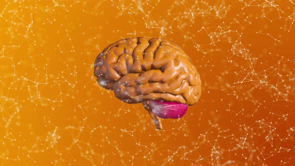 Orange Plexus Brain Background