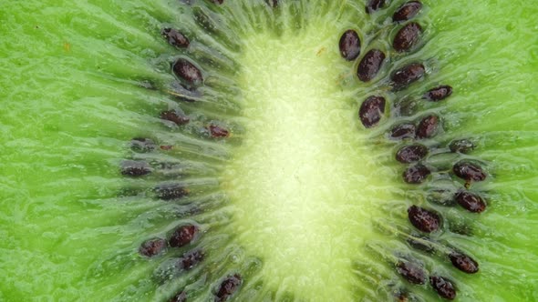 Kiwi fruit slice rotating, Macro shot. Top view.