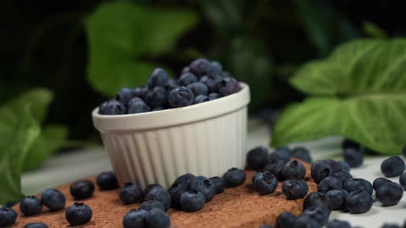 Blueberries Lying on the Table and in a White Bowl alt