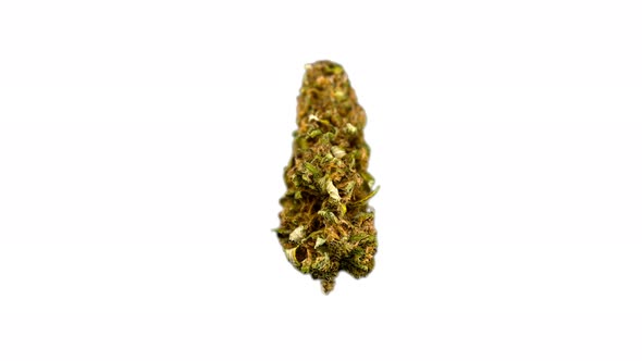 Cannabis Bud 360 Spin Loop