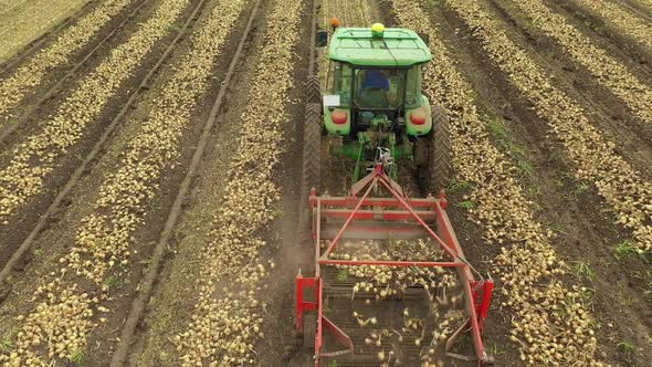 Agricultural industry.Modern Technologies of Onion Harvesting.Onion Harvesting Equipment. alt