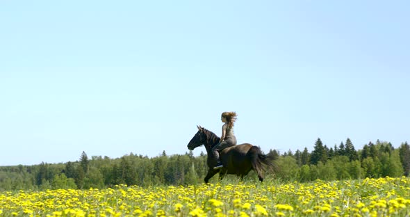 Lady with Dark Hair Rides Horse Professionally Along Field alt