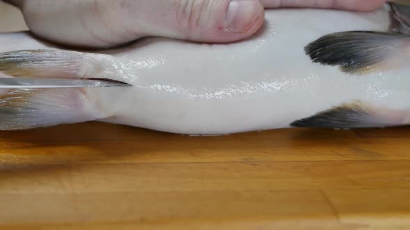 the Cook Cuts the Belly of a Fish with a Knife on a Wooden Board