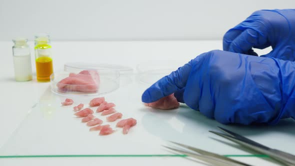 Medical Scientist Specialist in Medical Uniform Cutting and Taking a Piece of Meat with Tweezers for alt