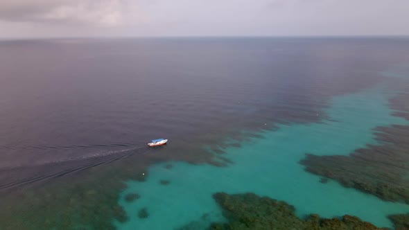 Misty morning flight at West Bay, Roatan alt