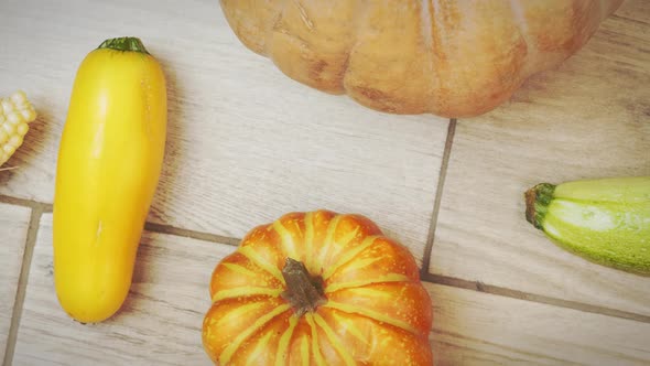 Thanksgiving day. Pumpkin, squash and corn on wooden background. Happy Halloween Day. alt