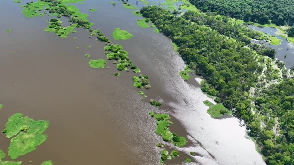 Stunning landscape of Amazon Forest at Amazonas State Brazil. alt