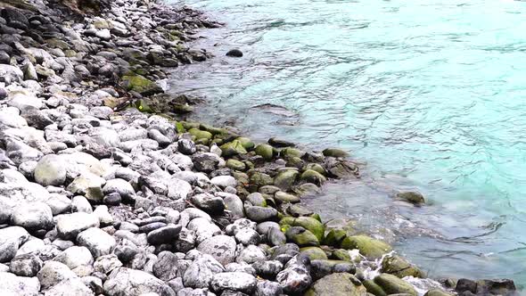 Katun River Stone River Bank Azure Water Selective Focusing River with Unusual Water Color