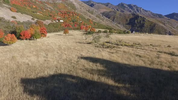 A drone captures aerial footage of an alpine meadow in the fall as tree leaves change color into bri alt
