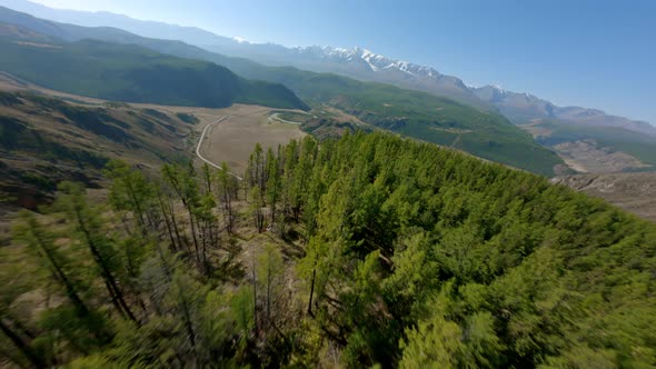 FPV Sports Drone Shot Flight Over Mountain Dense Spruce Forest Trees River Meanders Natural Scenery alt