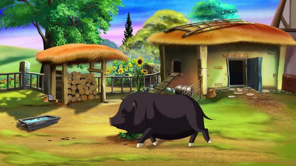 Black pig on the farm 4K