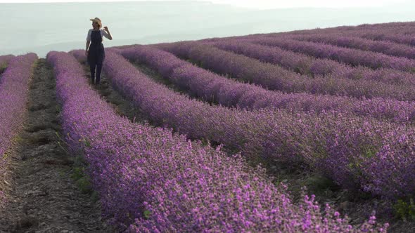 Lavender Fields Herb Farm alt