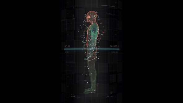 Human body scan (2 elements)