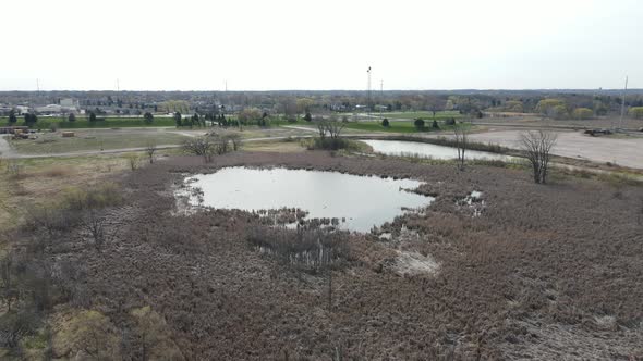 Landscape view of swamp land in rural setting in Wisconsin. Dry grasses of autumn.