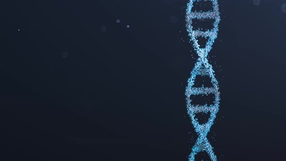 DNA double helix rotating against dark blue background. Copy space on the left.