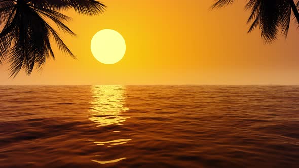 Beautiful tropical sunset on the sea with palm trees